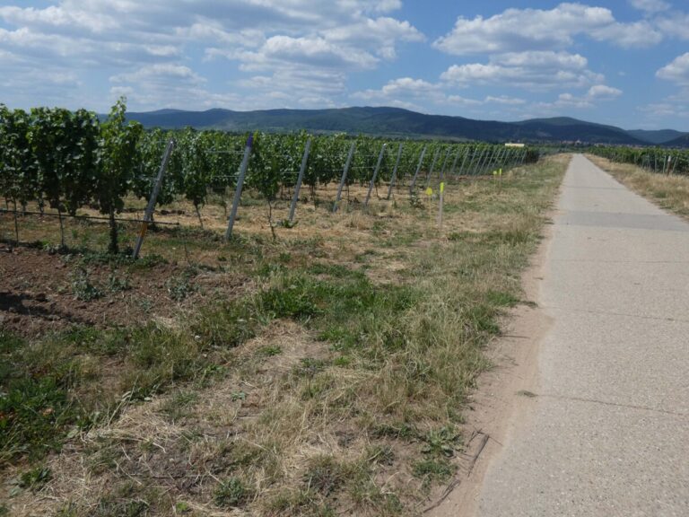 Bewirtschaftet im Verbund