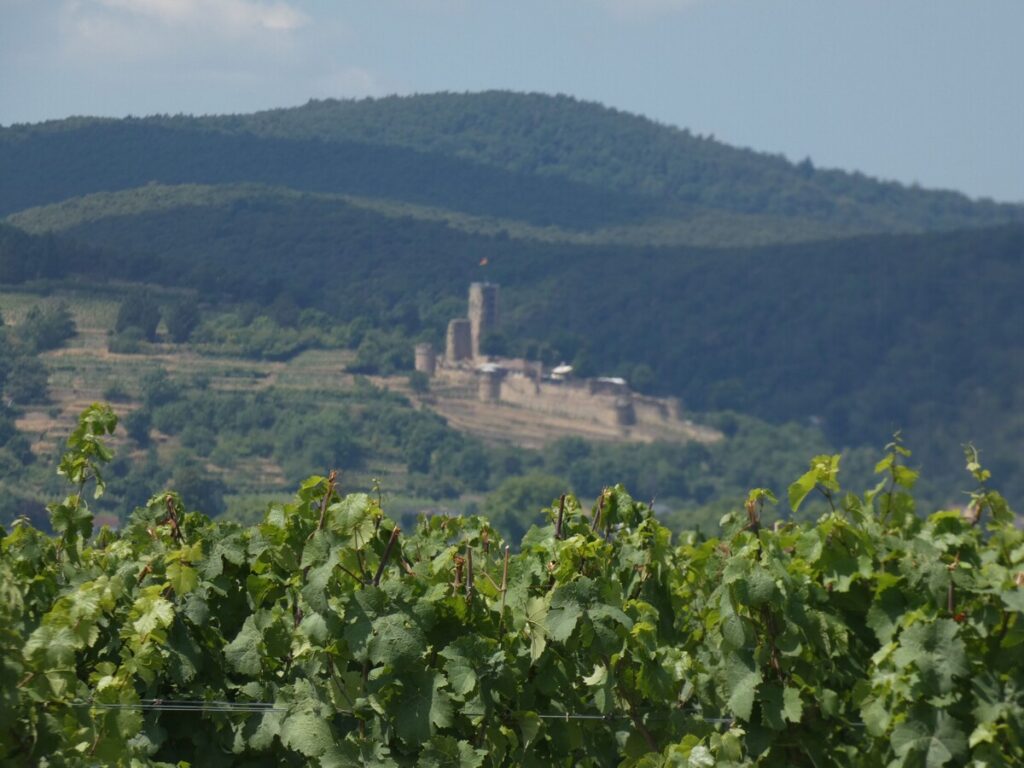 Wachtenburg im Blick