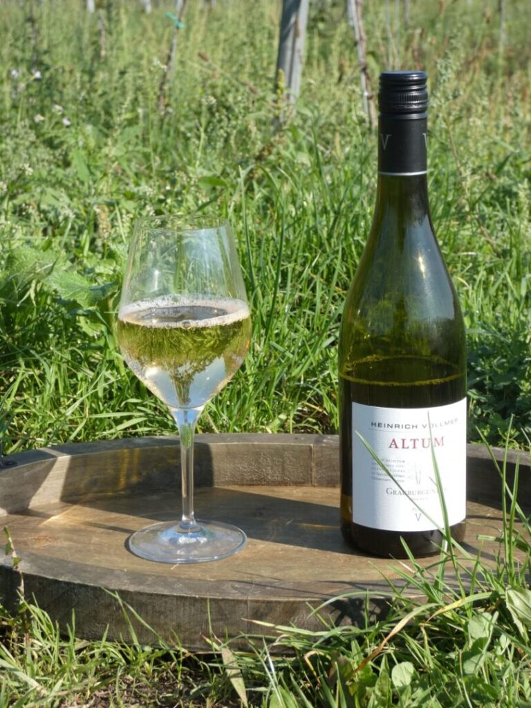 die Trauben werden zufruchtig-trockenem Grauburgunder