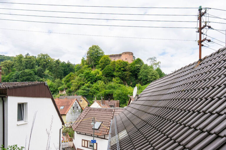 Blick zur Hardenburgurg