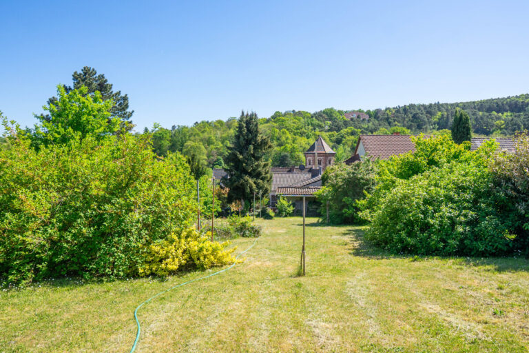 Blick aufs Haus vom Garten