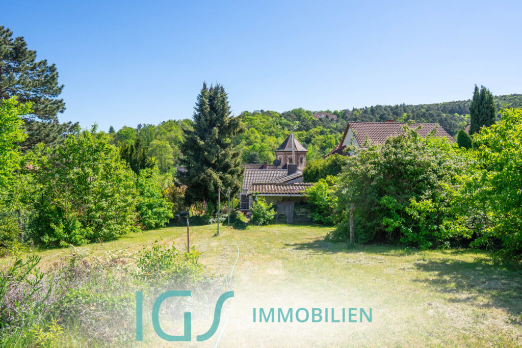 Blick aufs Haus vom Garten