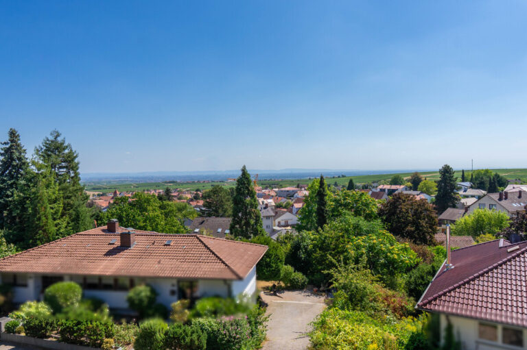 Ausblick