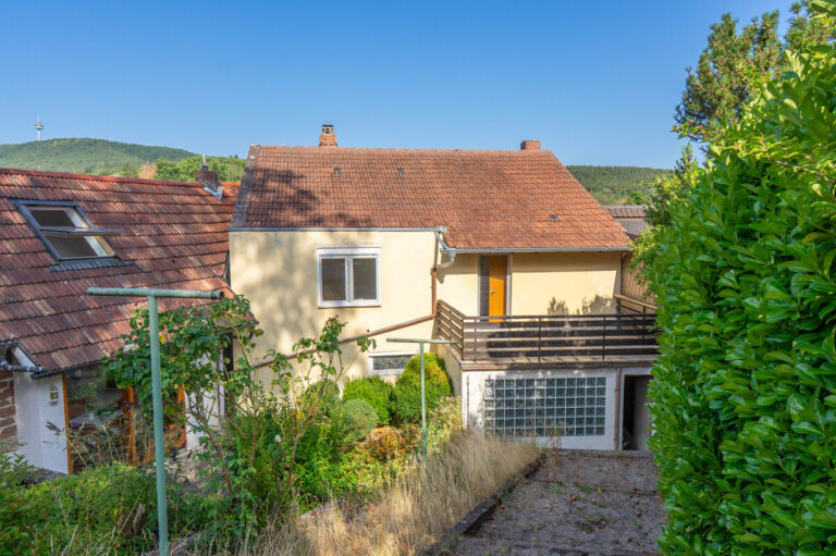 Blick vom Garten auf Haus