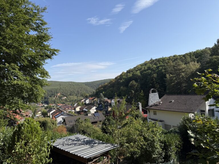 Ausblick